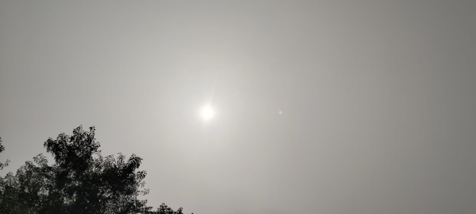 অবশেষে দেখা মিলল সূর্যের