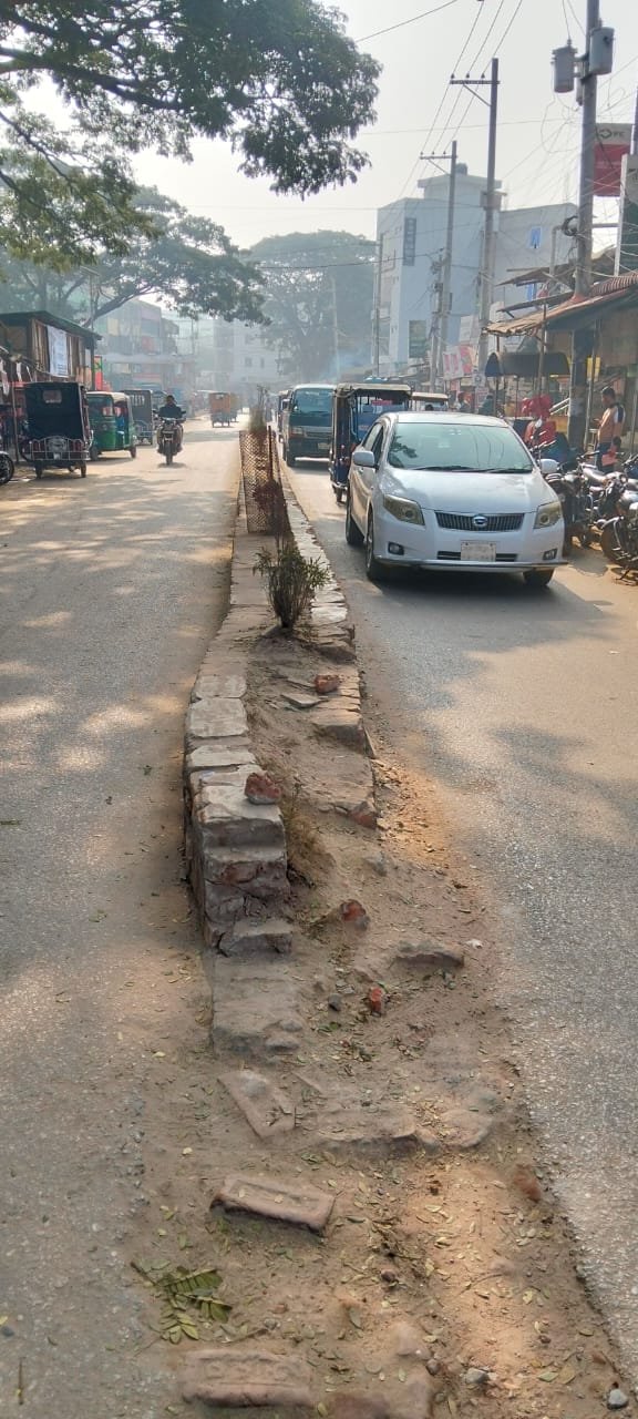 অবহেলায় বেহাল কসবা পৌরসভার রোড ডিভাইডার