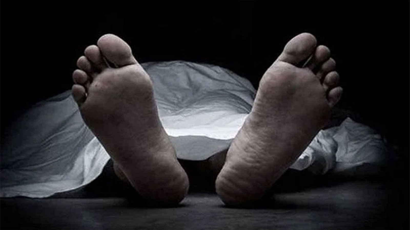 হাতিরঝিলে পিকআপ ভ্যানের ধাক্কায় নিহত