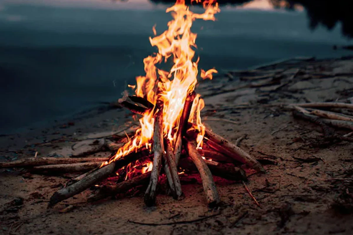মানুষ কবে প্রথম আগুন জ্বালাতে শেখে, জানা গেল নতুন ইতিহাস