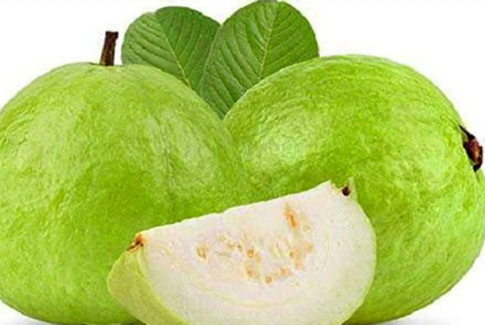 পেয়ারা খেলে মিলবে যেসব উপকার