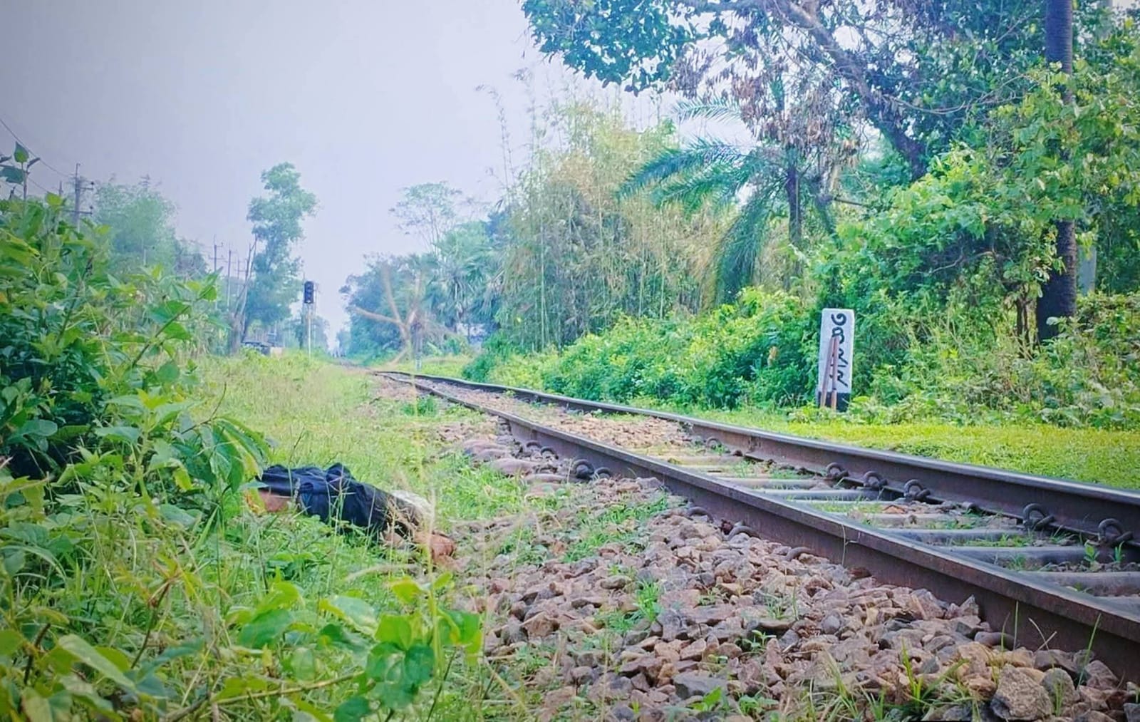 শ্রীপুরে ট্রেনে কাটা পড়ে অজ্ঞাত যুবকের মৃত্যু,রেলপথের পাশে পড়ে ছিল বিচ্ছিন্ন দেহ