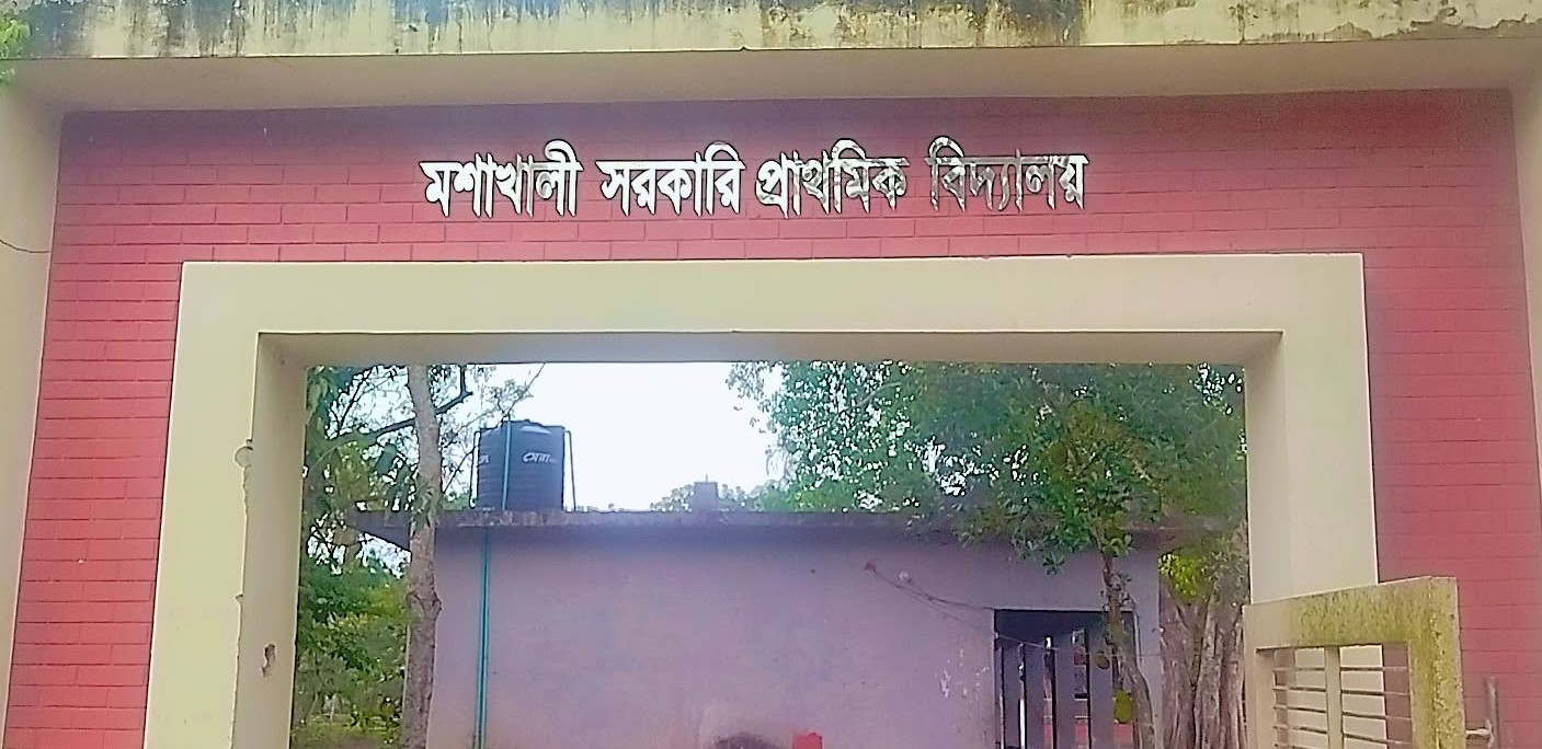 শালিখায় প্রাথমিক বিদ্যালয়ে দুর্ধর্ষ চুরি