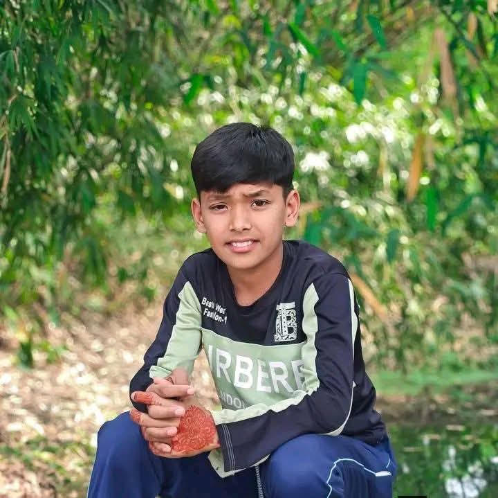 রাজবাড়ীতে আম গাছ থেকে পড়ে শিশুর মৃত্যু