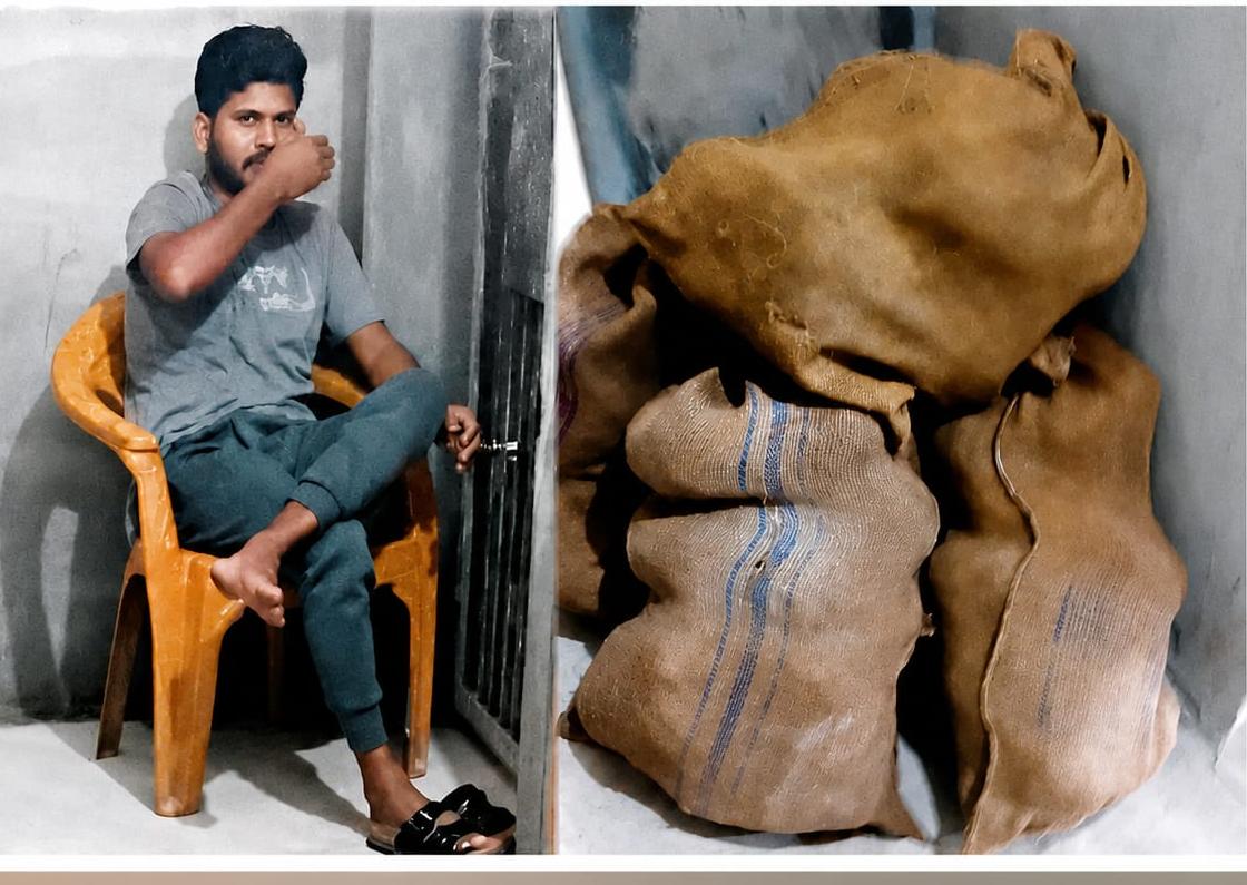 র‍্যাবের জালে মাদক সম্রাট, উদ্ধার ৬৯ কেজি গাঁজা