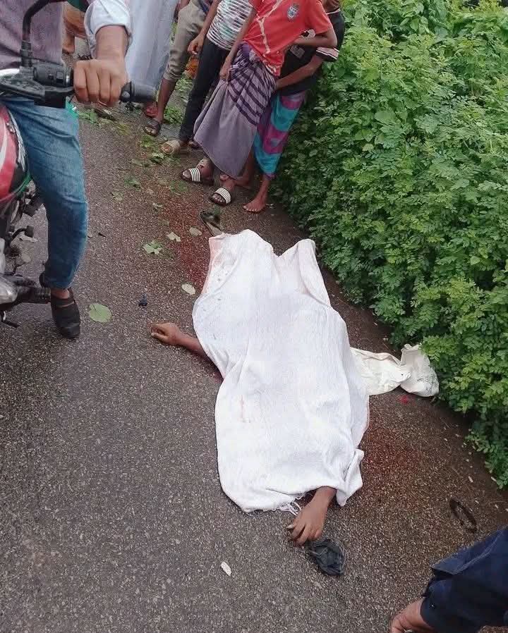 ভোলা-চরফ্যাশন সড়কে সড়ক দু*র্ঘট'নায় ট্রাকচালক নি*হত।