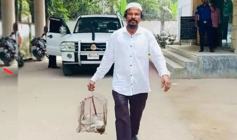 বিড়ালের মৃতদেহ খাঁচায় নিয়ে থানায় মালিক, প্রতিবেশীর বিরুদ্ধে পিটিয়ে হত্যার অভিযোগ
