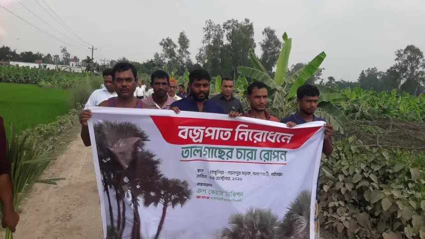 পলাশবাড়ীতে বজ্রপাত থেকে সুরক্ষায় তালের চারা রোপণ