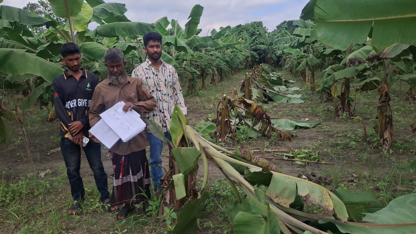 মাগুরায় জমি দখলের অভিযোগ, গাছ কাটার প্রতিবাদ করায় প্রাণনাশের হুমকির অভিযোগ মাগুরায় জমি দখলের অভিযোগ, গাছ কাটার প্রতিবাদ করায় প্রাণনাশের হুমকির অভিযোগ