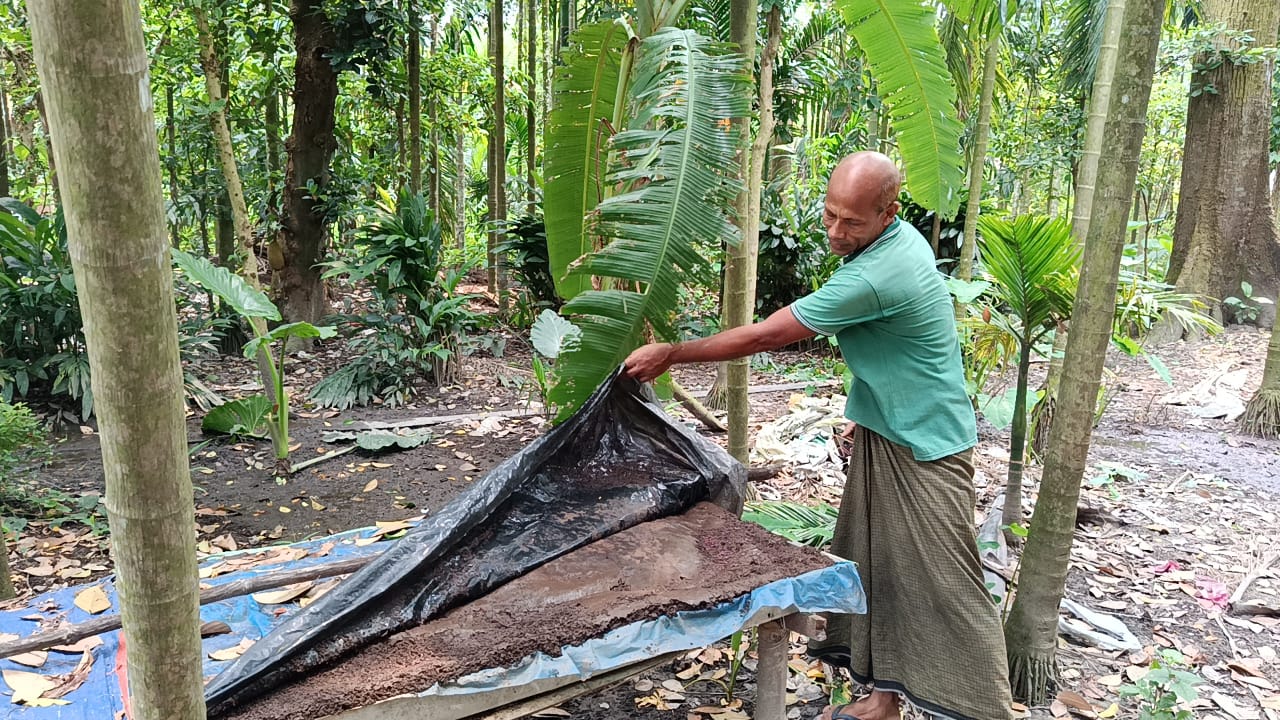রাজারহাটে লাল কেঁচো দিয়ে জৈবসার উৎপাদনে সফল সাজু মন্ডল; বাণিজ্যিক উৎপাদনে চান সরকারি সহযোগিতা