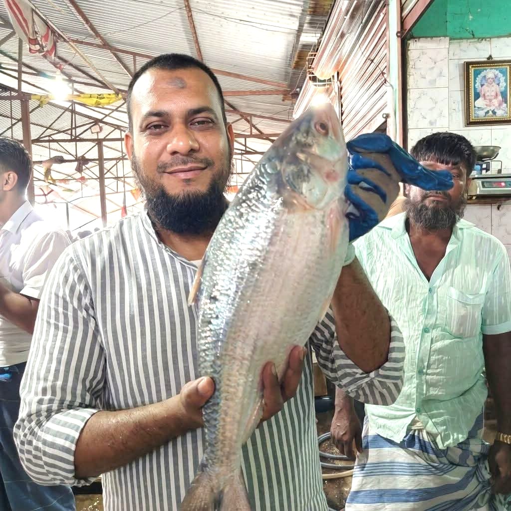 নোয়াখালীতে ৩ কেজি ৭০০ গ্রাম ইলিশ বিক্রি ১০ হাজার ৯০০ টাকায় নোয়াখালীতে ৩ কেজি ৭০০ গ্রাম ইলিশ বিক্রি ১০ হাজার ৯০০ টাকায়