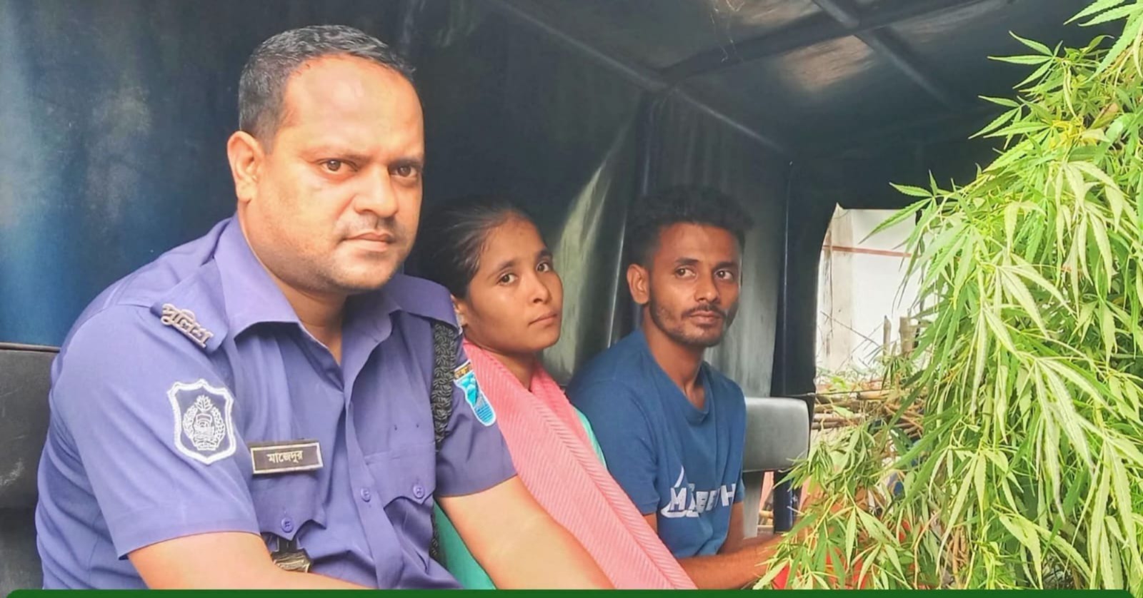 মানিকগঞ্জে বাড়ি পাশের জমিতে গাঁজা চাষের অভিযোগে তৌহিদুর রহমান বাবু নামে এক আইনজীবীকে আটক করেছে পুলিশ।