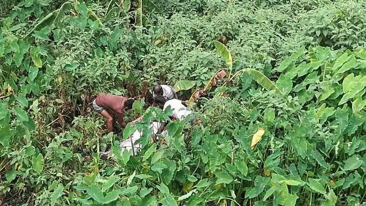 নিখোঁজের দুইদিন পর বস্তা বন্দী নারীর লাশ উদ্ধার
