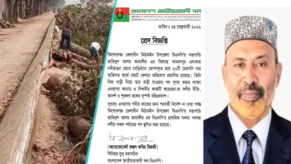 কিশোরগঞ্জের মিঠামইনে বিএনপির নেতার বিরুদ্ধে বেড়িবাঁধের গাছ কেটে ফেলার অভিযোগ।