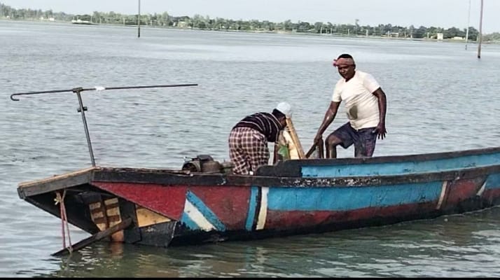 নাটোরে হালতি বিলে প্রকাশ্যে চলছে শামুক নিধন
