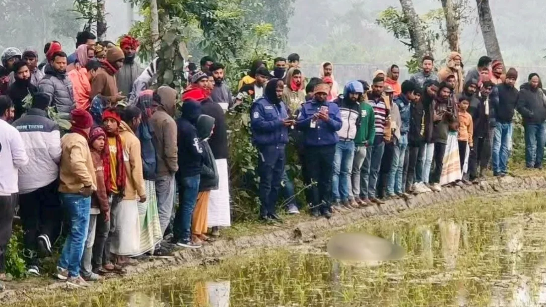 পাবনায় ধানক্ষেতে মিললো দিনমজুরের মরদেহ