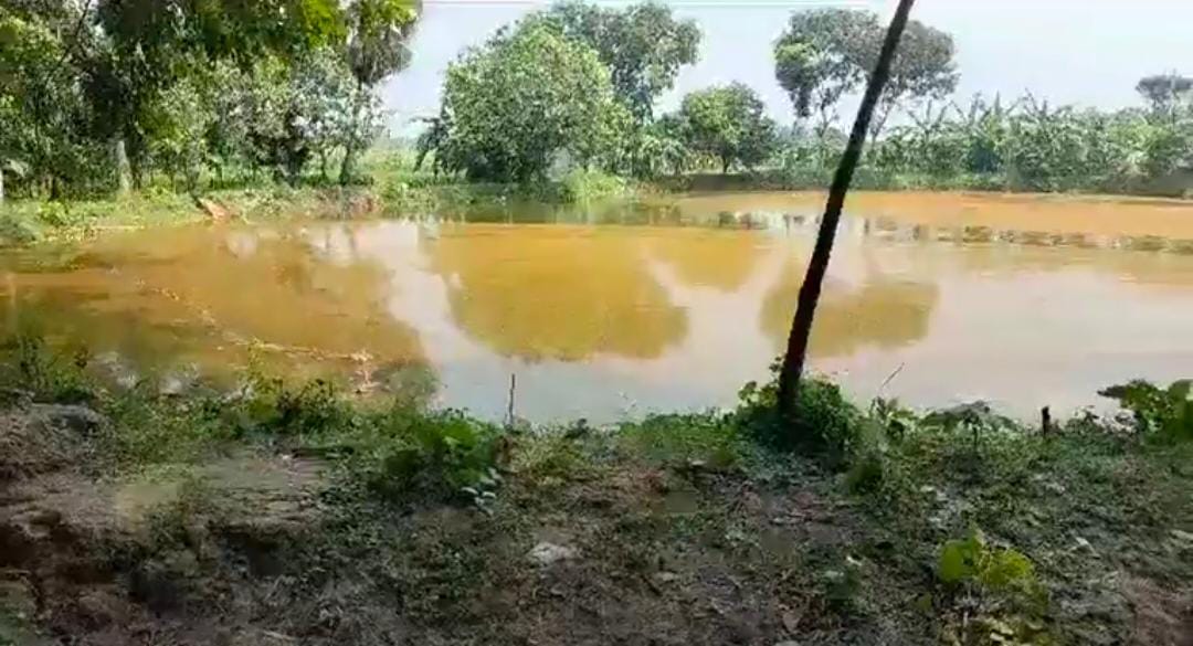 নাটোরে পুকুরে মিলল আনসার সদস্যের মরদেহ নাটোরে পুকুরে মিলল আনসার সদস্যের মরদেহ