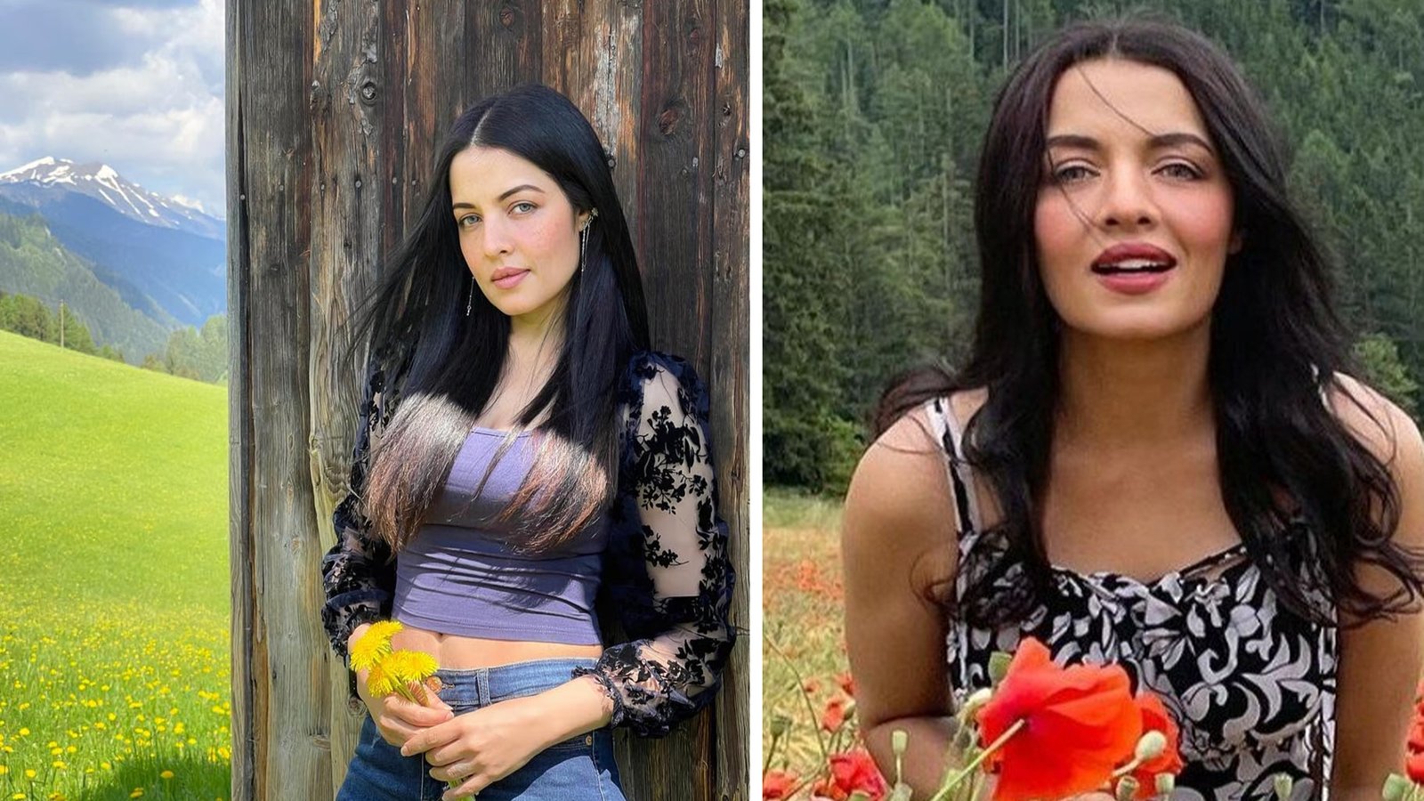 বিবাহবিচ্ছেদের পর আবারও অভিনয়ে নিয়মিত হতে চান সেলিনা জেটলি