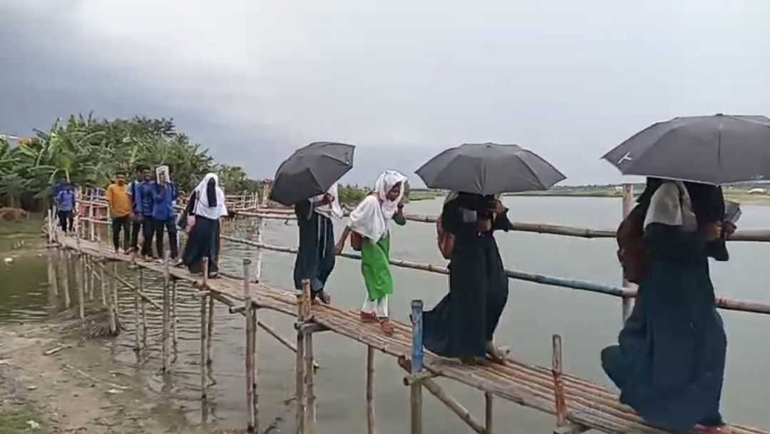 বাঁশের সাঁকো পেরিয়ে জীবনযুদ্ধ—৬ বছরেও মেরামত হয়নি আম্ফানে বিধ্বস্ত সড়ক