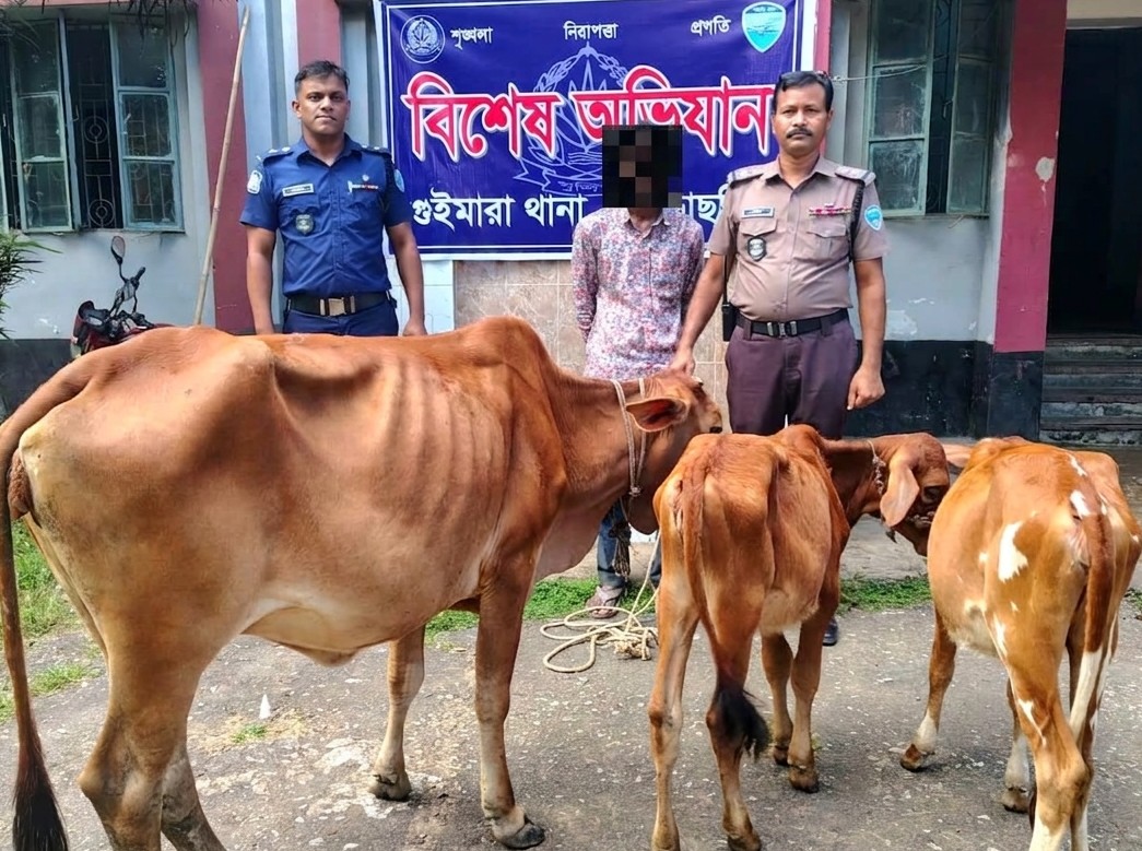 গরু চুরির ঘটনায় যুবক গ্রেপ্তার গরু চুরির ঘটনায় যুবক গ্রেপ্তার