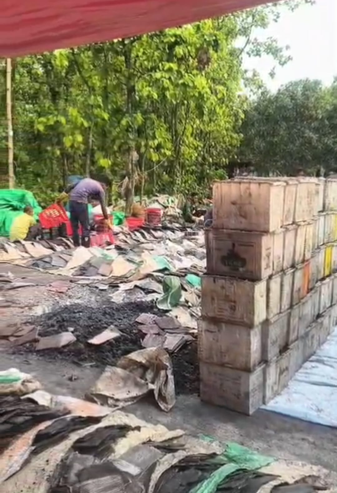 বিষাক্ত ধোঁয়ায় অতিষ্ঠ এলাকাবাসী, হুমকির মুখে মানুষ ও গৃহপালিত পশু