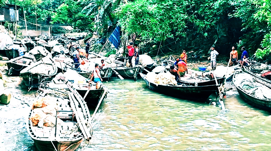 চাঁদপুরে মাছ শিকারে নিষেধাজ্ঞা উঠছে আজ মধ্য রাত থেকে