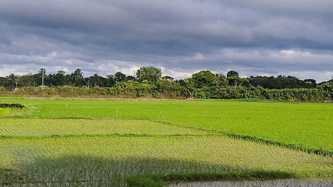 আখাউড়া সীমান্ত দিয়ে ভারতে প্রবেশের সময় বিএসএফের হাতে যুবক আটক