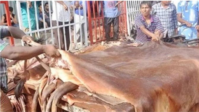সাভার চামড়া শিল্পনগরী: সিইটিপি সংকটে রপ্তানি কমেছে, দাম তলানিতে