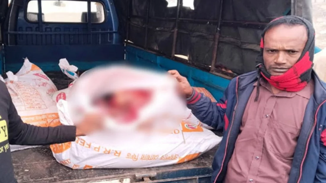 যমুনার চরে ৭টি ঘোড়া জবাইয়ের পর ঢাকায় মাংস পাচারচেষ্টা, আটক ২