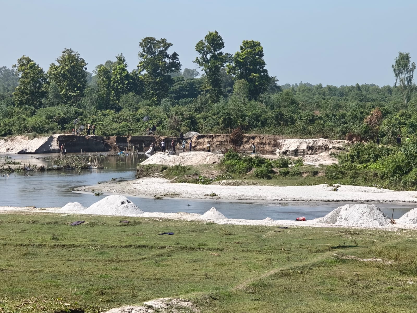 বনভূমি নিয়ে সিন্ডিকেটের অভিযোগ