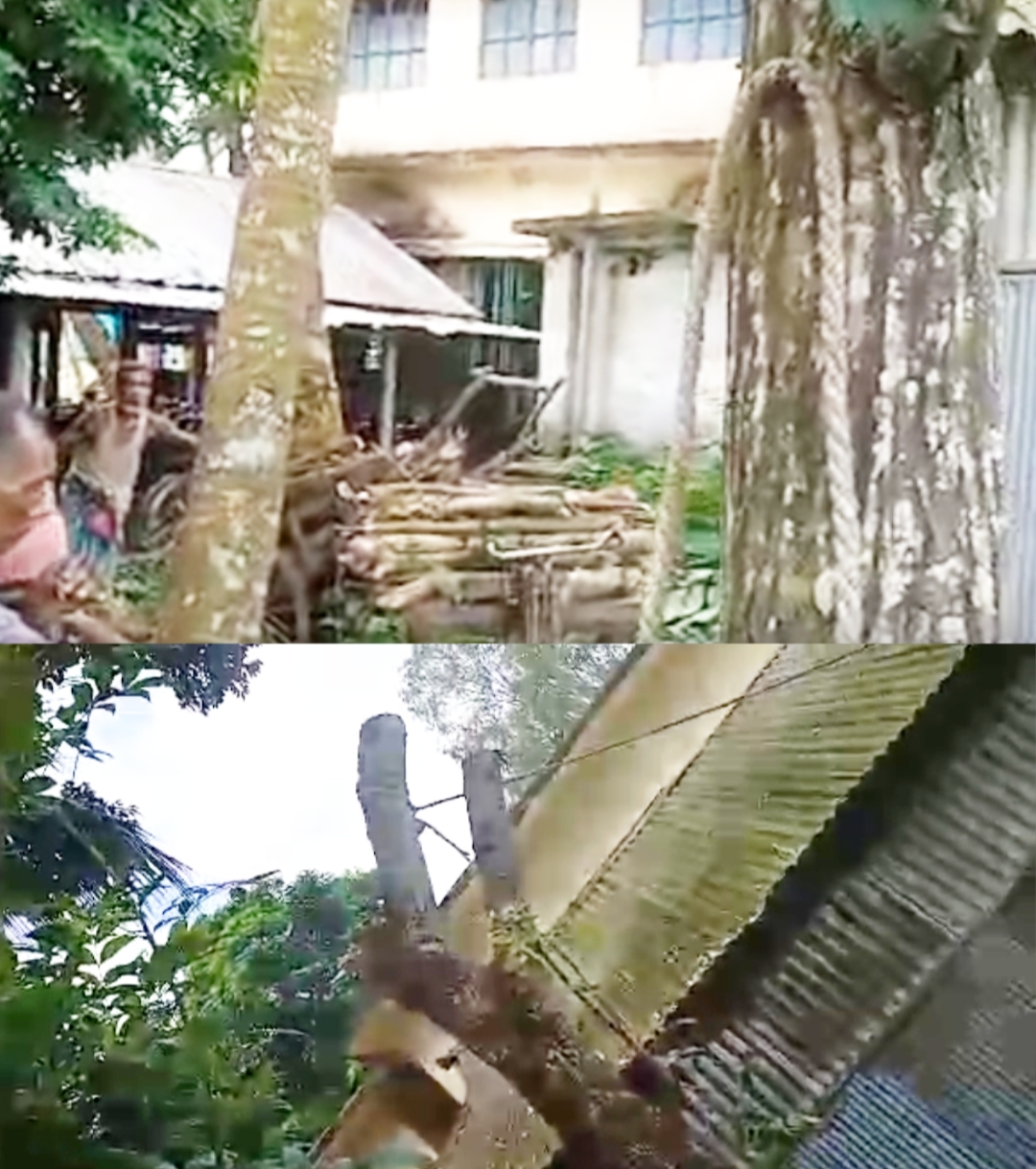ফুলবাড়ীর বড়ভিটা বহুমুখী উচ্চ বিদ্যালয়ের মেহগনি গাছ কর্তন ও আত্মসাতের অভিযোগ প্রধান শিক্ষকের বিরুদ্ধে ফুলবাড়ীর বড়ভিটা বহুমুখী উচ্চ বিদ্যালয়ের মেহগনি গাছ কর্তন ও আত্মসাতের অভিযোগ প্রধান শিক্ষকের বিরুদ্ধে