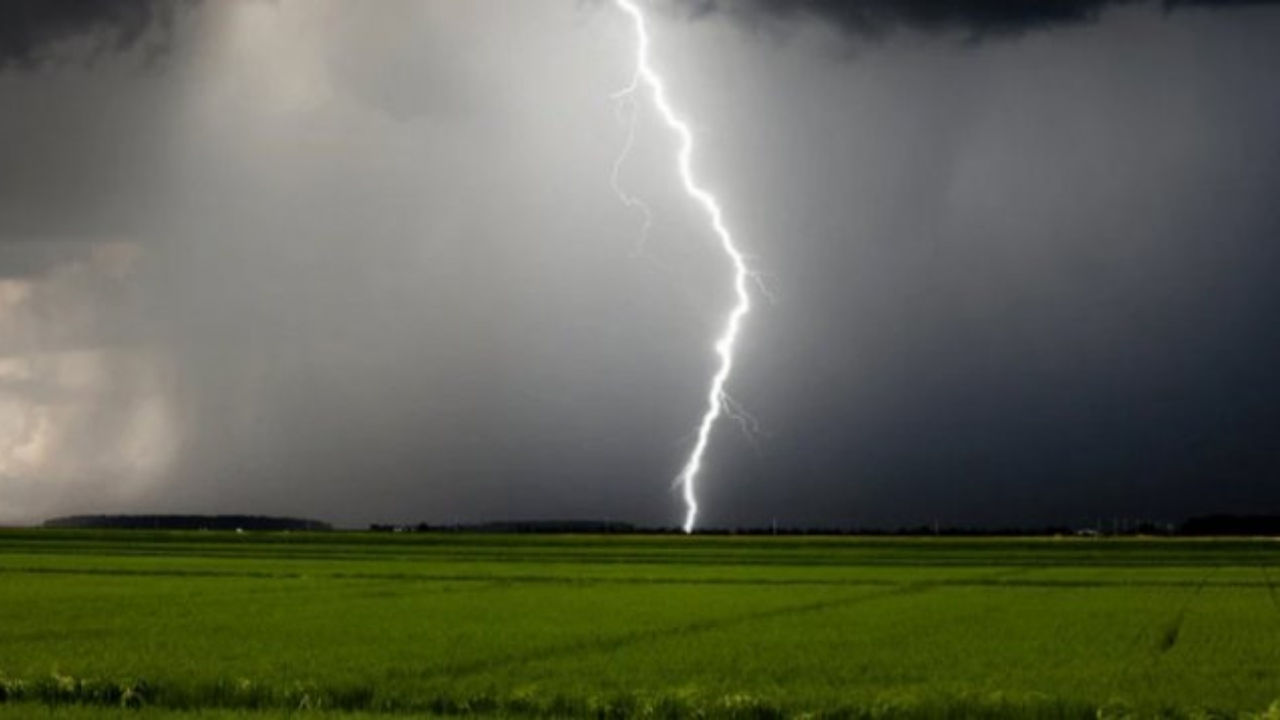 মাগুরায় ধান রক্ষা করতে গিয়ে বজ্রপাতে তরুণীর মৃত্যু, আহত ১